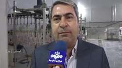 آغاز خرید مرغ گوشتی از مرغداران کهگیلویه و بویراحمد